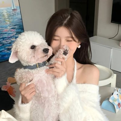 哦，我的宠妃大人2019